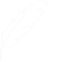 feather icon